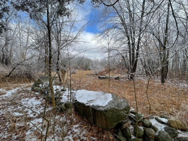 Zoning Board of Appeals Meetings